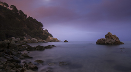 Timeline: Trajectòria personal i professional