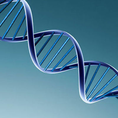 Timeline: Timeline of Genetics