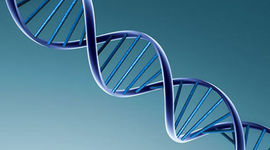 Timeline: Timeline of Genetics