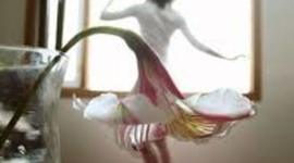 Timeline: Famous Names in Art Photography