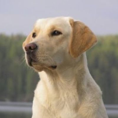 Timeline: Practica Linea de Tiempo_Luis Hinojosa