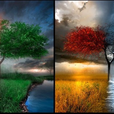 Timeline: 12 Months of French