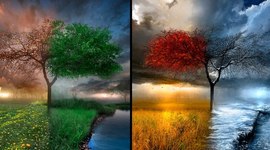 Timeline: 12 Months of French