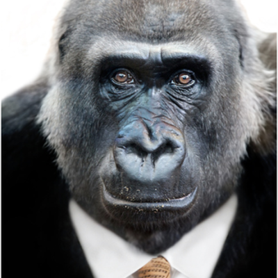 Timeline: (Ty)me Line