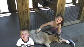 Timeline: Birthday Timeline Project