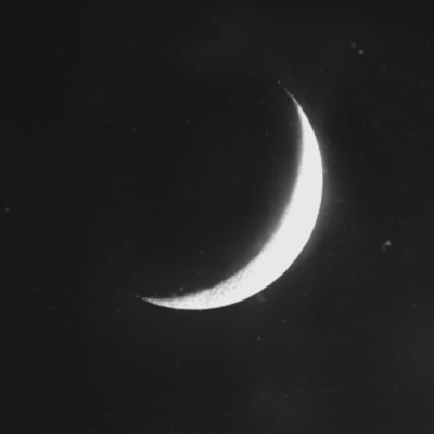 Timeline: Personal Timeline