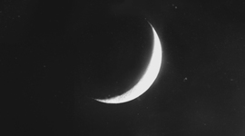 Timeline: Personal Timeline