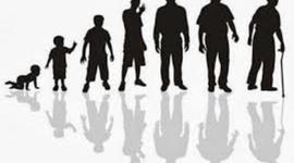 Timeline: CICLO VITAL DEL SER HUMANO