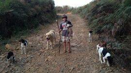 Timeline: Mi vida personal