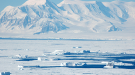 Timeline: Antarctic Past