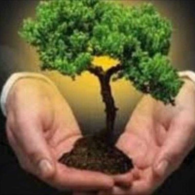 Timeline: Sostentabilidad