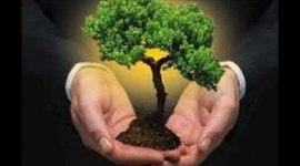 Timeline: Sostentabilidad