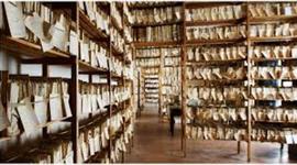 Timeline: HISTORIA DE LOS ARCHIVOS