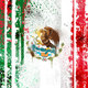 Mexican flag abstract painting wallpaper