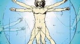 Timeline: ciclo vital