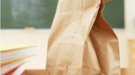 Timeline: Brown Bags 08 -09