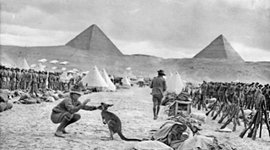 Timeline: World War 1