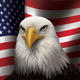 Usflagandamericaneagle