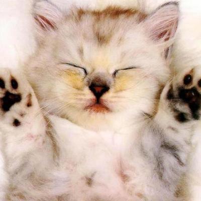 Timeline: Линия Времени Багровой Елены