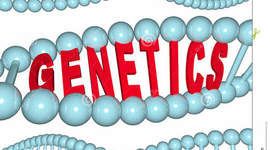 Timeline: Genetics Through Time