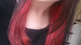 Timeline: MALENA CEDRÓN