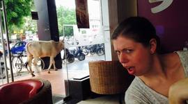 Timeline: World War I