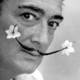 Salvador dali flower moustache 7