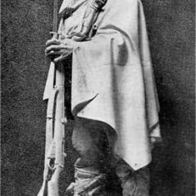 Timeline: The Sentry