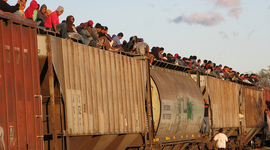 Timeline: immigration hope and more life to live