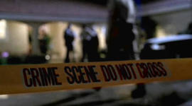 Timeline: CSI Development - Over the Years