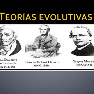 Timeline: Teorias Evolutivas