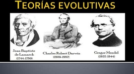 Timeline: Teorias Evolutivas