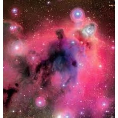 Timeline: Actividad 1. "Linea del tiempo Teorías de la evolución"