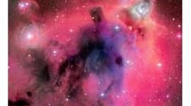 Timeline: Actividad 1. "Linea del tiempo Teorías de la evolución"