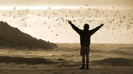 Timeline: Chris McCandless Journey Into the Wild