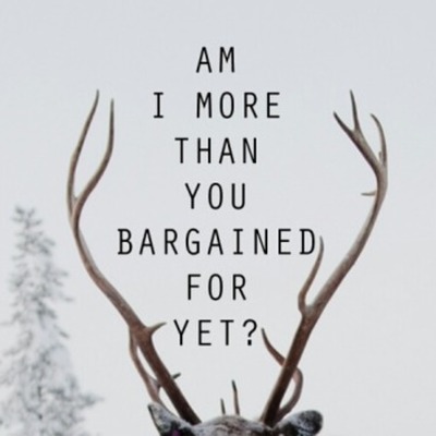 Timeline: FALL OUT BOY