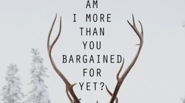 Timeline: FALL OUT BOY