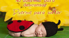 Timeline: Trabajo Social En Colombia