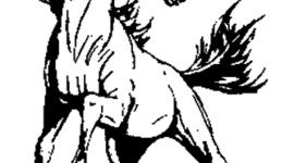 Timeline: 2015-2016 PBHS School Calendar