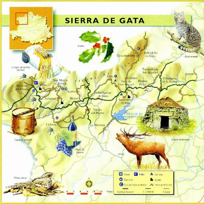 Timeline: La historia de una sierra