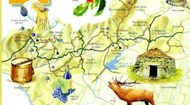 Timeline: La historia de una sierra