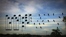 Timeline: Μουσικό σχολείο Ρόδου 2007-2016