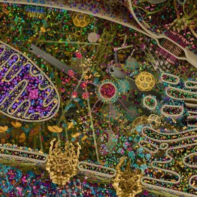 Timeline: Вехи изучения клетки