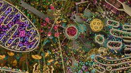 Timeline: Вехи изучения клетки