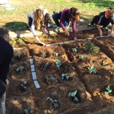 Timeline: Ο ΛΑΧΑΝΟΚΗΠΟΣ ΜΑΣ