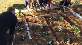 Timeline: Ο ΛΑΧΑΝΟΚΗΠΟΣ ΜΑΣ