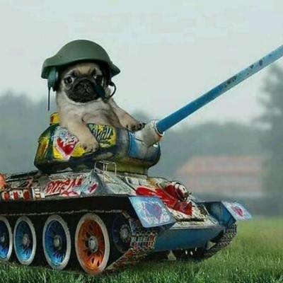 Timeline: Logan West The US Timeline of WWI