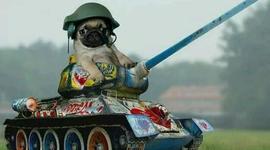 Timeline: Logan West The US Timeline of WWI