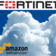 Fortinet aws
