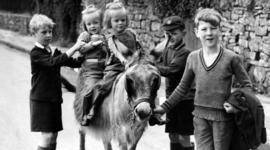 Timeline: World War II